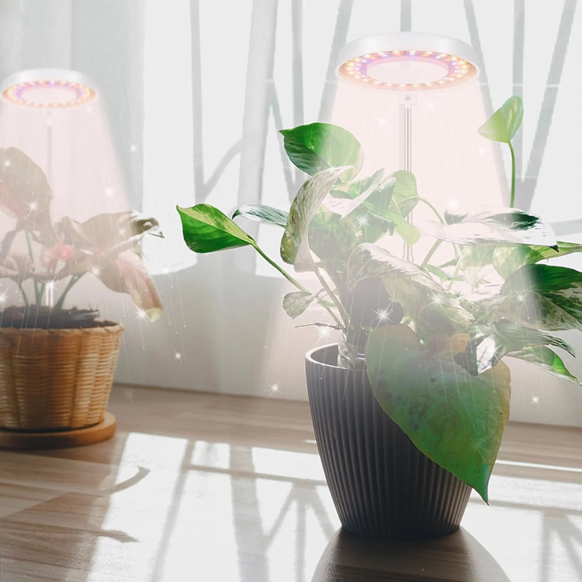 KEBINCPLED Angel Ring LED Grow Light | Full Spectrum USB 5V LED Grow Light Richie's