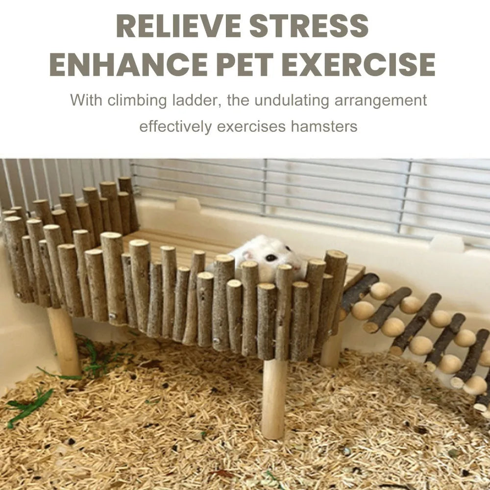 Wooden Hamster Climbing Platform with Ladder | Small Pet Toy Small Pet Toy Richie's