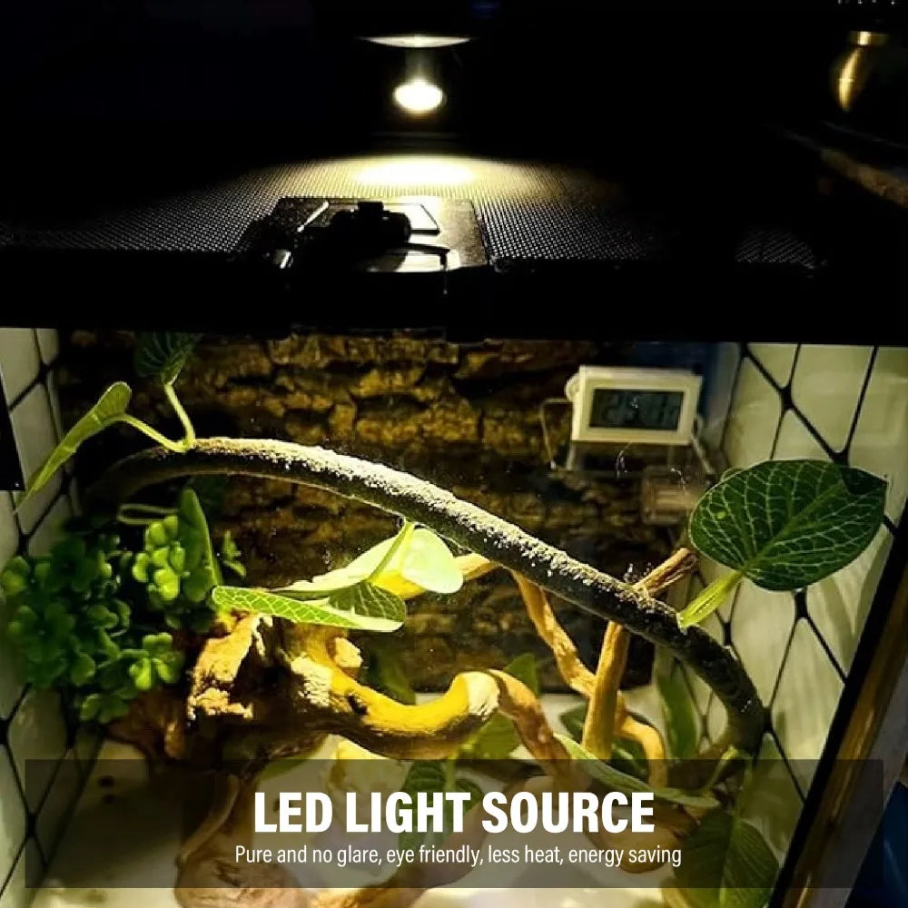 Mini USB LED Spotlight 1W Aluminum CRI 80+ Display Light LED Spotlight Richie's