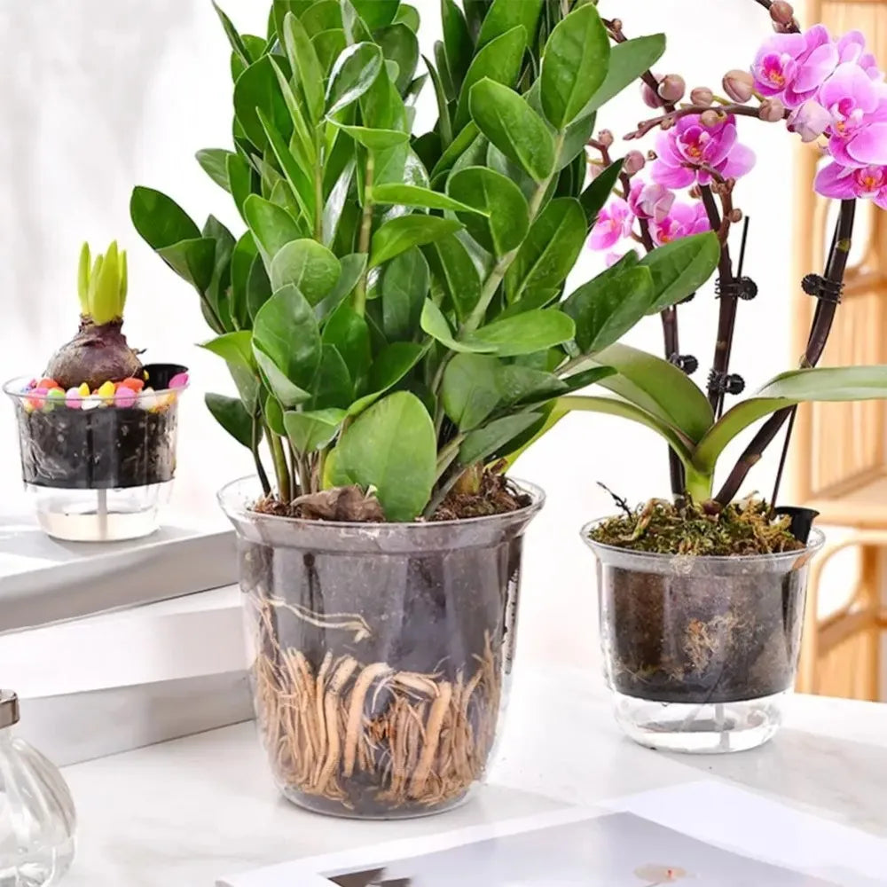 Transparent Self-Watering Plant Pot – Double Layer Planter Self-Watering Planter Richie's