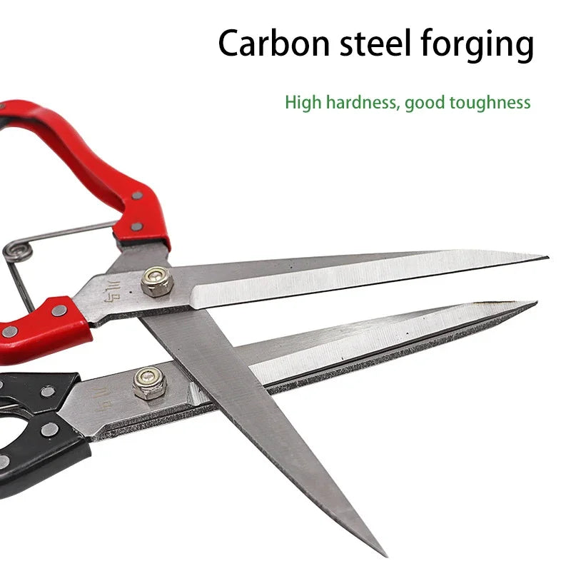 30cm Manual Sheep Shears – Wool & Fur Trimming Scissors Sheep Shearing Scissors Richie's