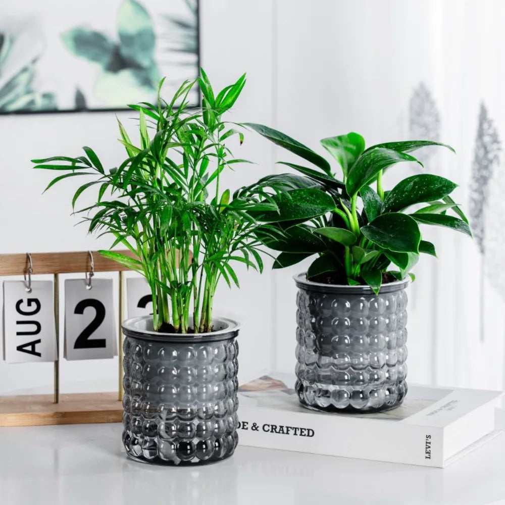 Self-Watering Hydroponic Planter – Mini Succulent Pot Vase Hydroponic Planter Pot Richie's