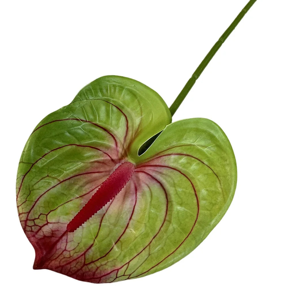 60cm Artificial Anthurium Flower – Real Touch Faux Plant Decor Artificial Flower Richie's Green-pink