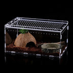 Transparent Acrylic Reptile Terrarium – Ventilated Lizard Habitat Reptile Terrarium Richie's