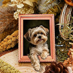3D Cartoon Animal Magnetic Photo Frame – Cute Fridge Magnet Magnetic Photo Frame Richie's