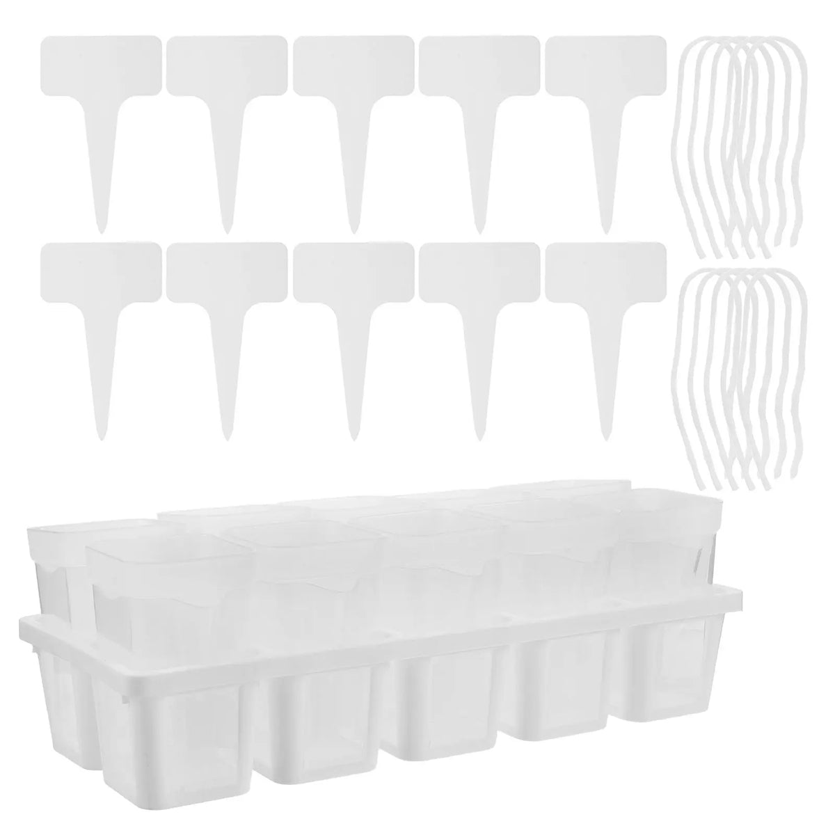 Self-Watering Succulent Propagation Planter Set | 10 Cups Self-Watering Planter Set Richie's