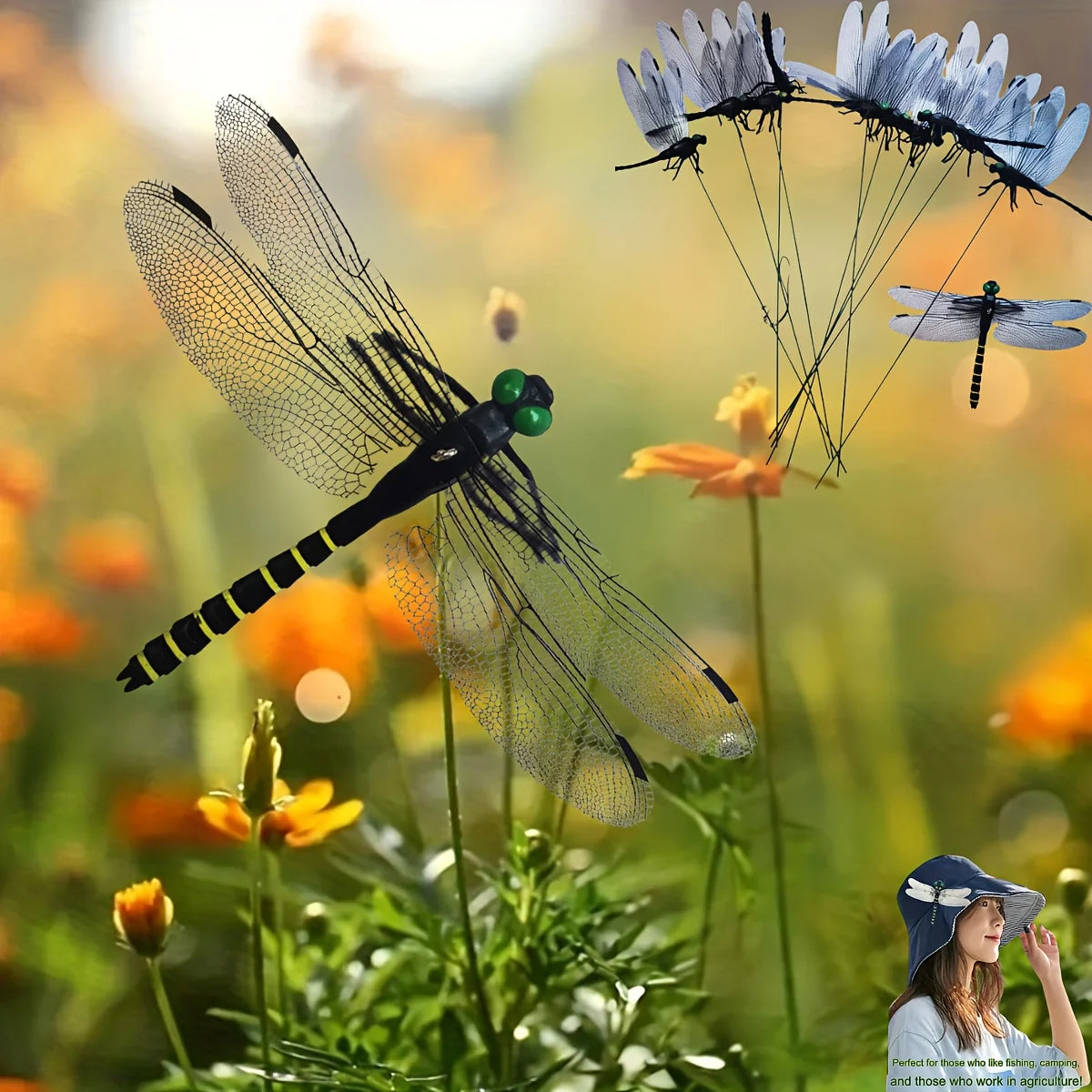 Vibrant Dragonfly Model Kit – Indoor & Outdoor Décor Garden Décor Model Richie's