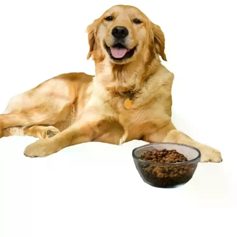 Absorbent Pet Feeding Mat – Quick Dry Placemat Dogs & Cats Pet Feeding Mat Richie's