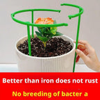 Plant Support Stakes Round Ring Trellis Cage – Green Plastic Plant Support Cage Richie's