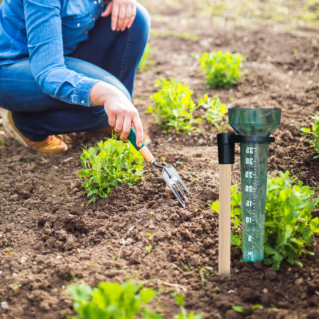 Plastic Rain Gauge with Holder – 35mm Outdoor Rainfall Meter Rain Gauge Richie's