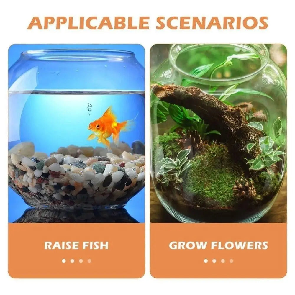 Round Clear Plastic Fish Bowl – Lightweight Small Aquarium Plastic Fish Bowl Richie's