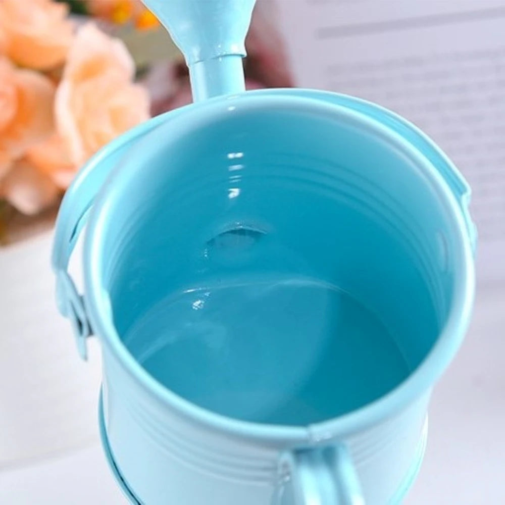 Kawaii Vintage Metal Watering Can – Flower & Plant Kettle Metal Watering Can Richie's