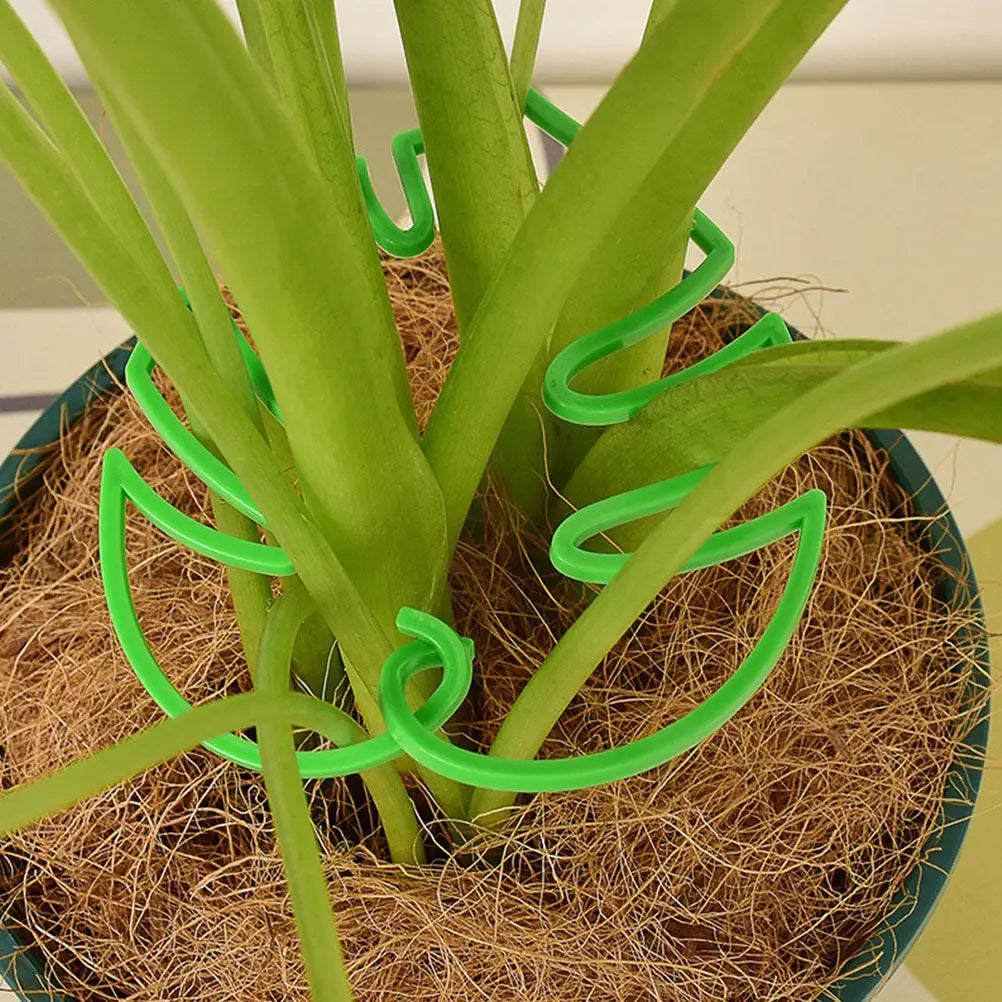 Monstera Plant Cage Trellis – Vertical Growth Support Frame Plant Support Trellis Richie's Default Title