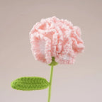 Handmade Crochet Carnation Bouquet – Colorful Knit Wool Flowers Crochet Flower Bouquet Richie's Gradient Pink