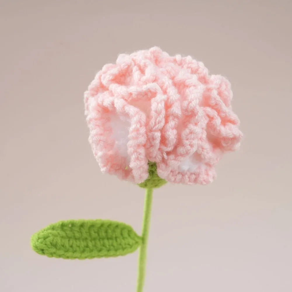 Handmade Crochet Carnation Bouquet – Colorful Knit Wool Flowers Crochet Flower Bouquet Richie's Gradient Pink