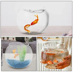 Round Clear Plastic Fish Bowl – Lightweight Small Aquarium Plastic Fish Bowl Richie's