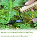 Gap Weeding Tool – Multi-Purpose Garden Hand Fork Garden Weeding Fork Richie's