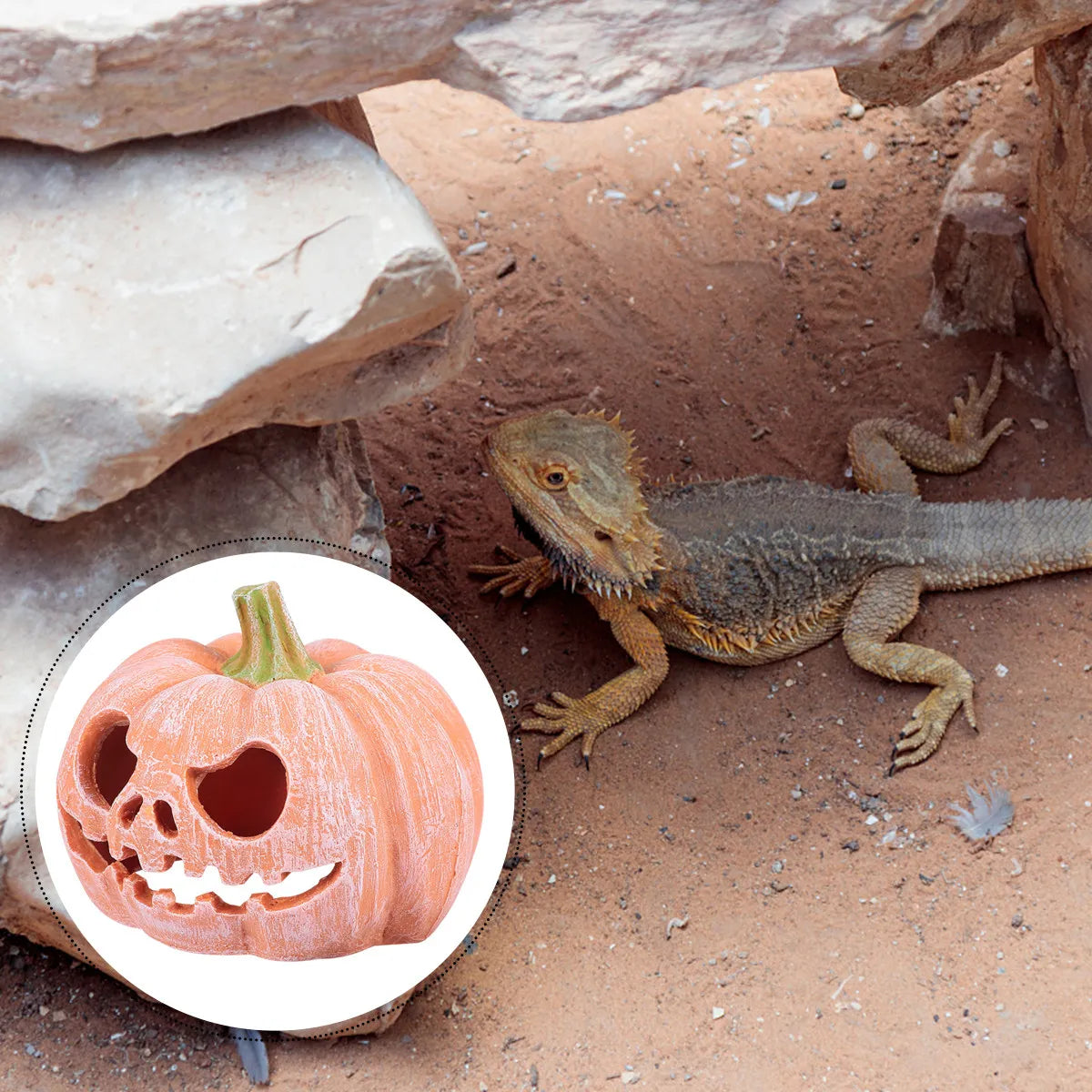 Pumpkin Resin Reptile Hide Cave – Lizards, Geckos & Snakes Reptile Hide Cave Richie's